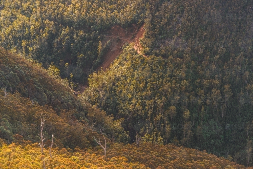Remote Logging Road, Southern Tasmania - Australian Stock Image
