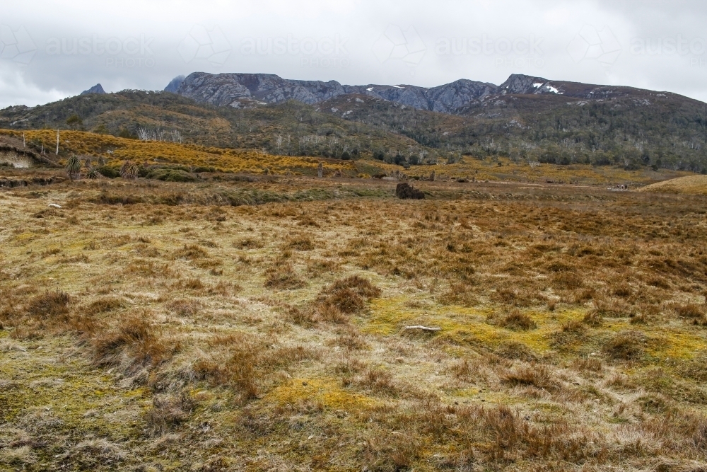 Remote mountain plains,  Cradle Mountain - Australian Stock Image