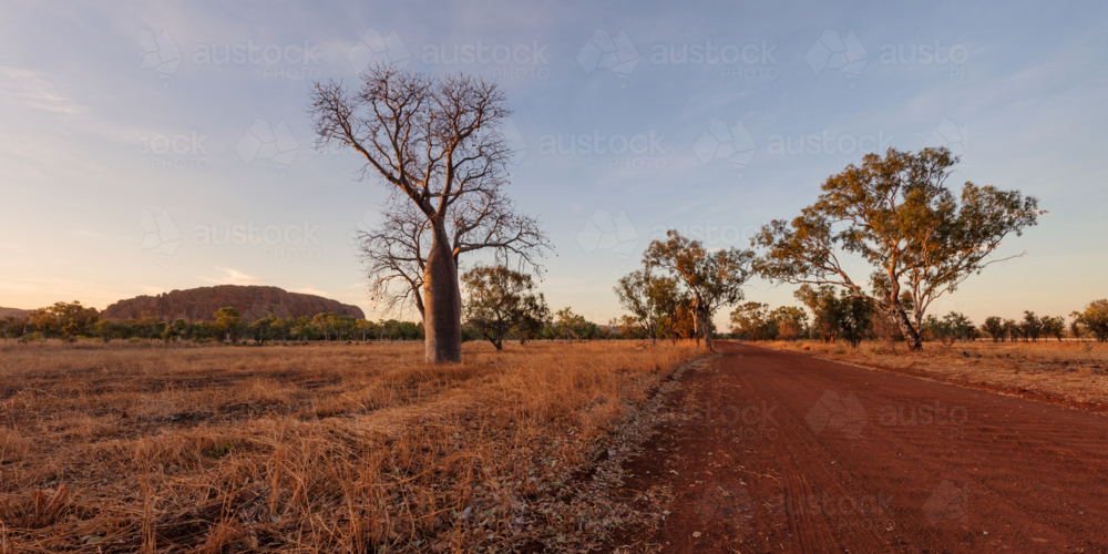 Remote outback red dirt road, 4wd track in the Northern Territory - Australian Stock Image