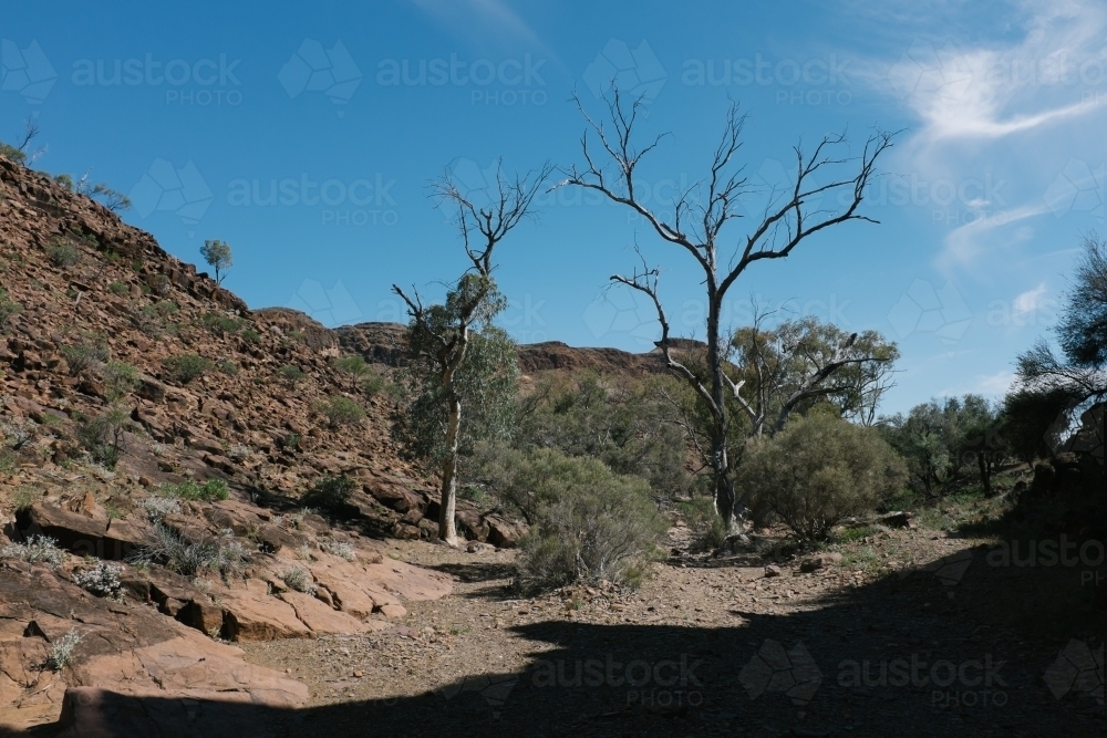 Remote rocky landscape with dead trees - Australian Stock Image