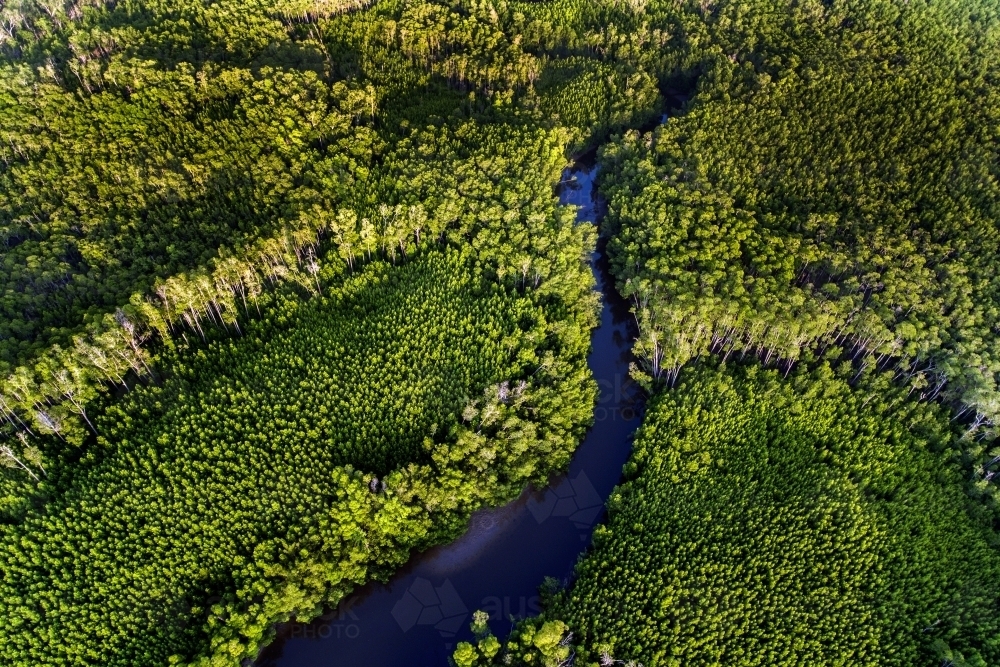 Remote wilderness northern Australia, watercourse and forest - Australian Stock Image