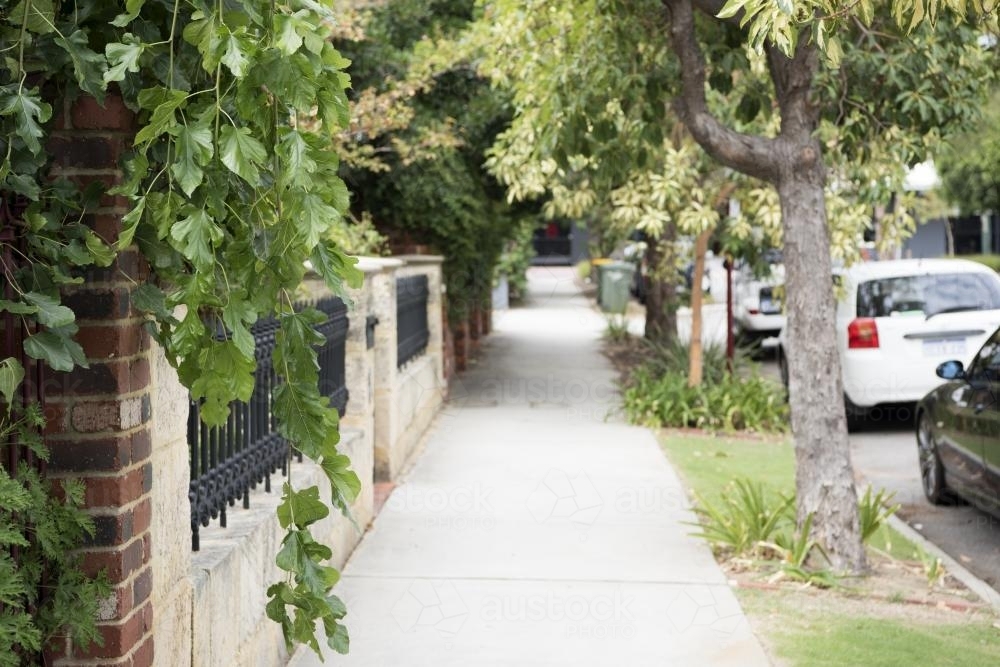 Residential street with trees and fence line - Australian Stock Image