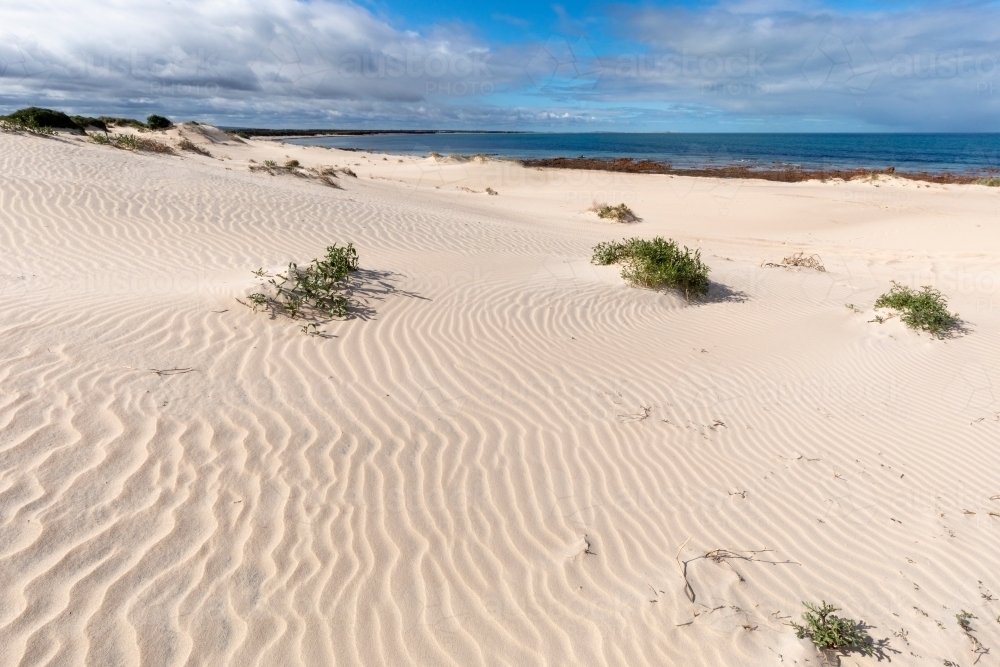 rippled white sand dunes near beach - Australian Stock Image