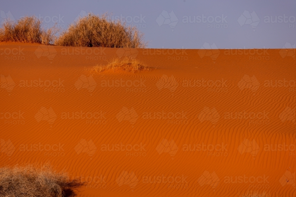 ripples in red sand dune - Australian Stock Image