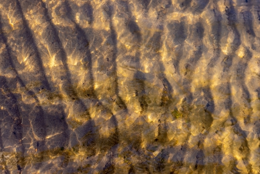ripples on the bottom of lake seen through shallow sun-dappled water - Australian Stock Image
