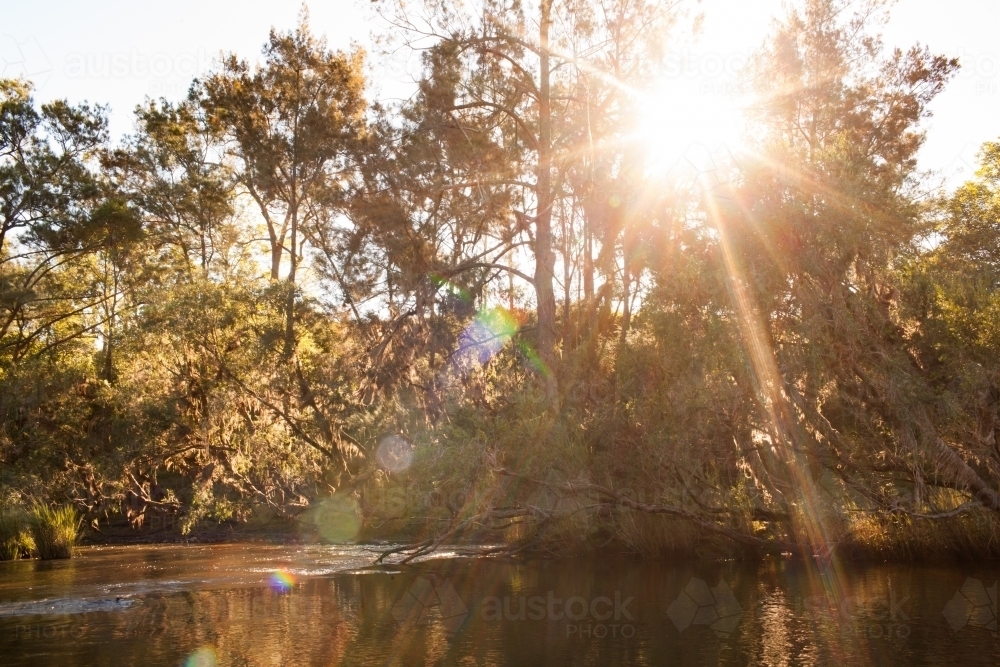 River landscape in afternoon light - Australian Stock Image