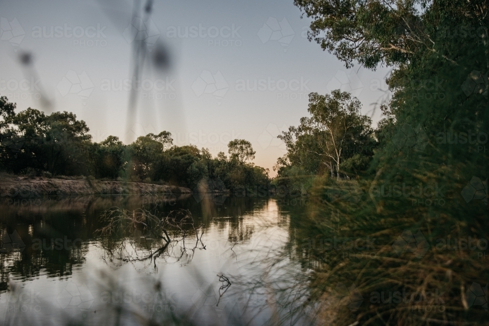 River surrounded by foliage in the afternoon - Australian Stock Image