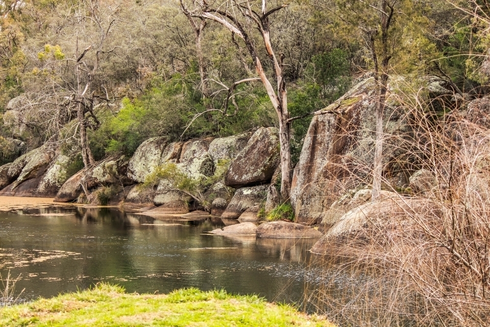 River water through forest trees - Australian Stock Image