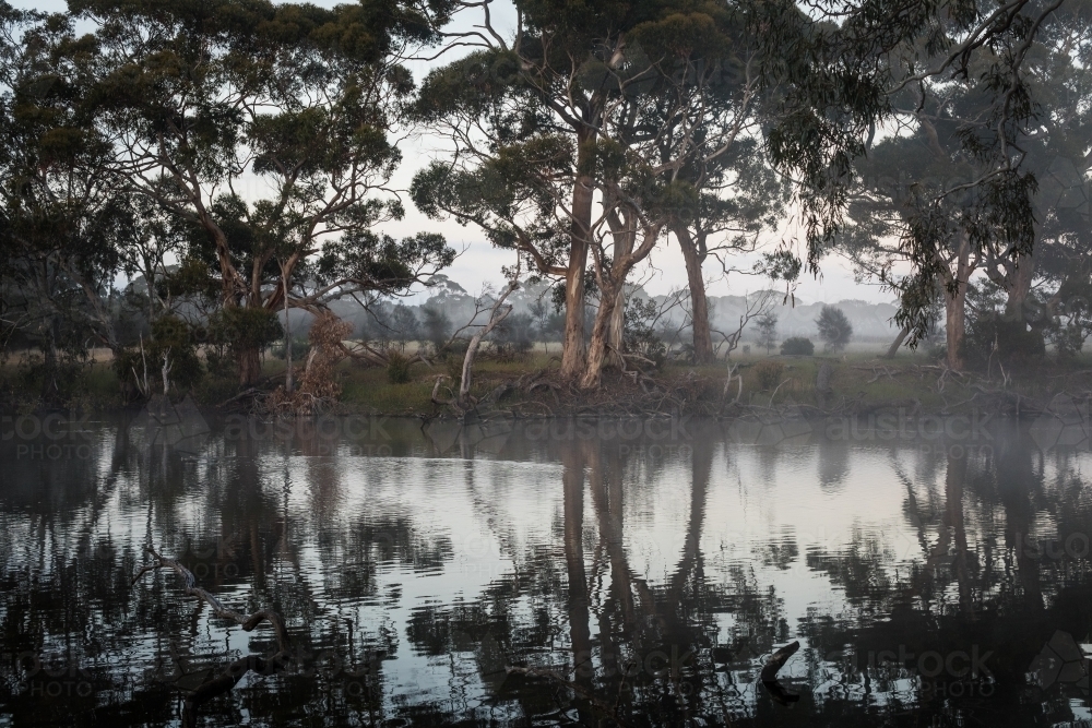 River with reflection of gum trees - Australian Stock Image
