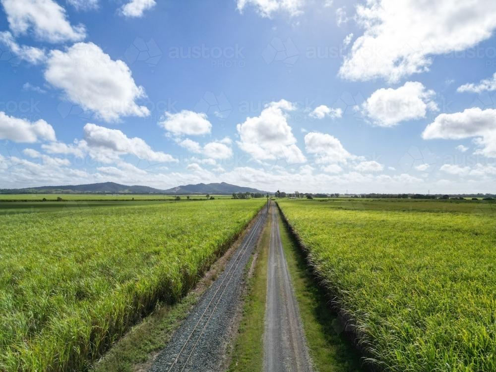Road and rail through the sugar cane fields - Australian Stock Image