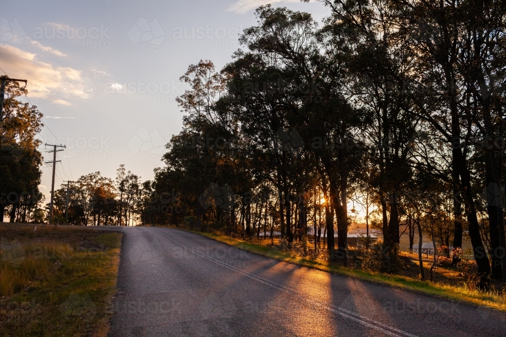 road at sunset with gum trees casting shadows - Australian Stock Image