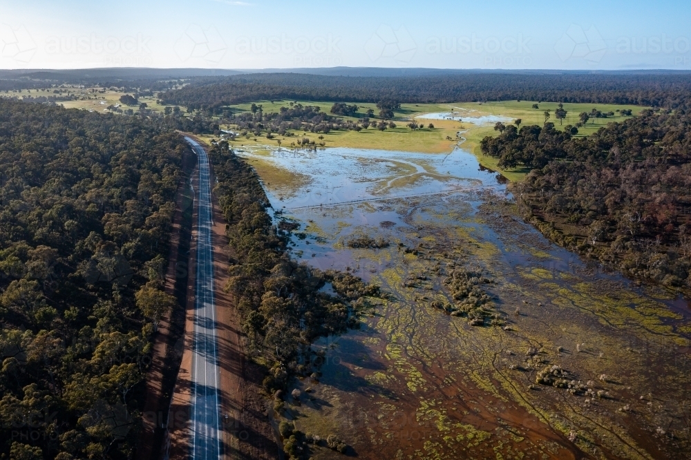 road between forest and wetland leading into the distance - Australian Stock Image