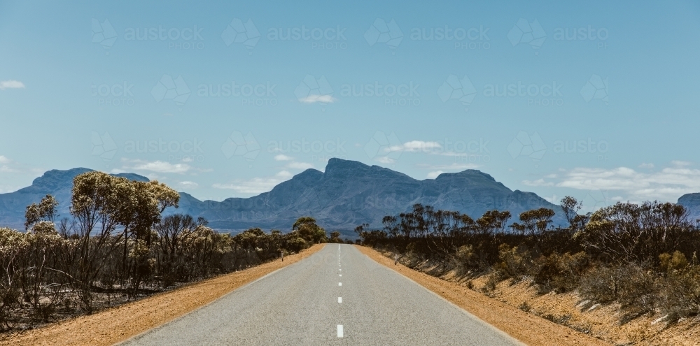 Road in outback with burnt dead trees on the roadside - Australian Stock Image