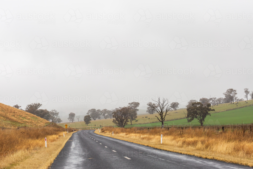 road in rural Australia winding through mist covered foggy paddock on rainy day - Australian Stock Image