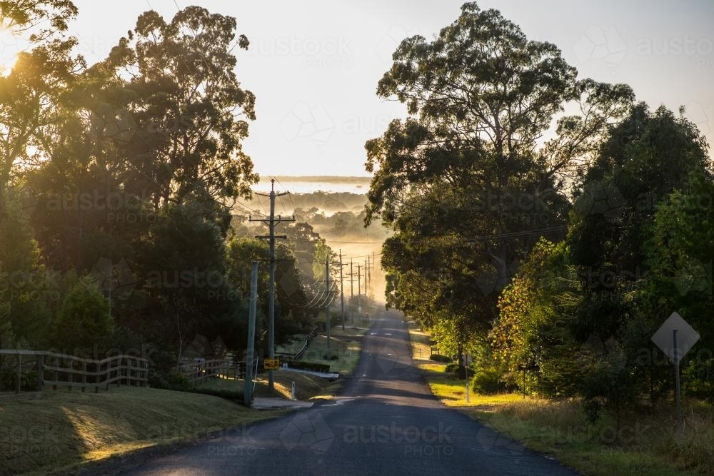 Road into the mist - Australian Stock Image