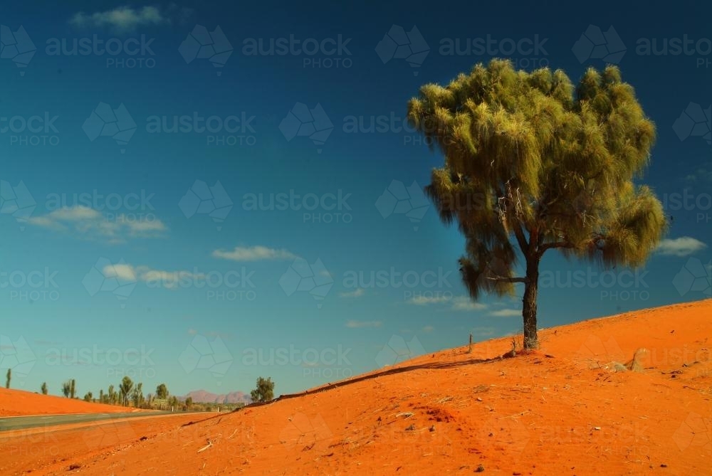 Road running through Sand Dunes - Australian Stock Image