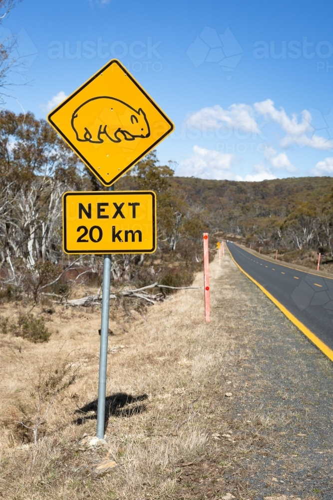 Road safety sign showing a wombat and Next 20km and a road in the Snowy Mountains - Australian Stock Image