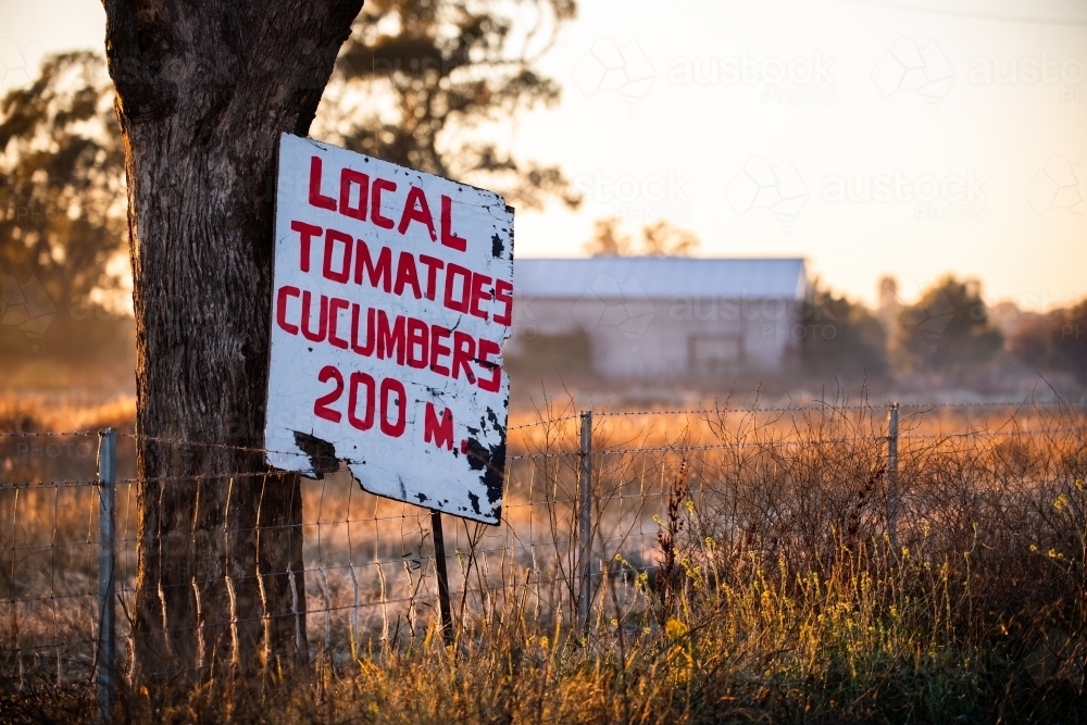 Road sign advertising local produce - Australian Stock Image