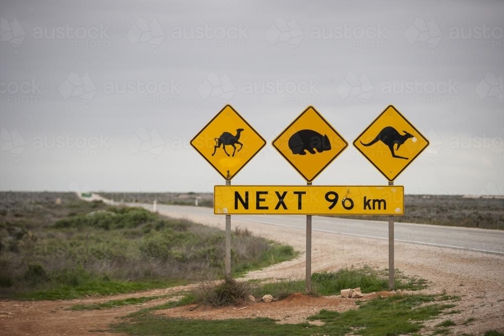 Road sign on an open stretch of the nullarbor - Australian Stock Image