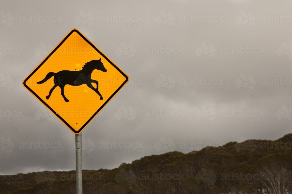 Road sign warning of brumbies in the Snowy Mountains - Australian Stock Image
