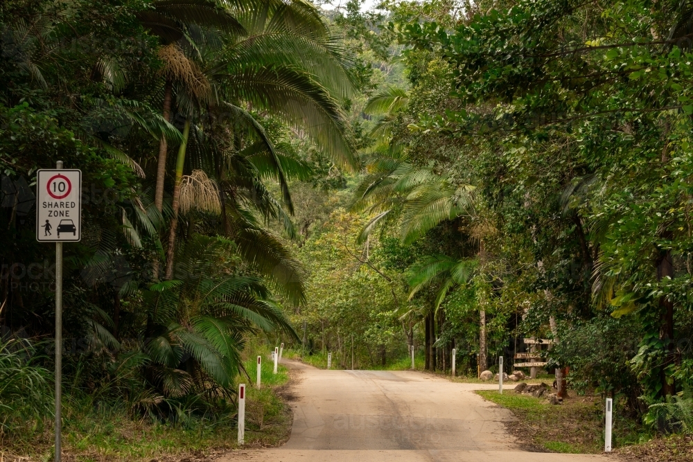 Road through a tropical rainforest. - Australian Stock Image