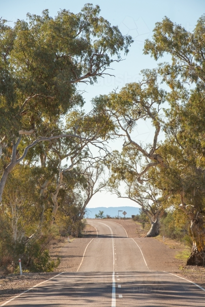 Image of road through Flinders Ranges, SA - Austockphoto