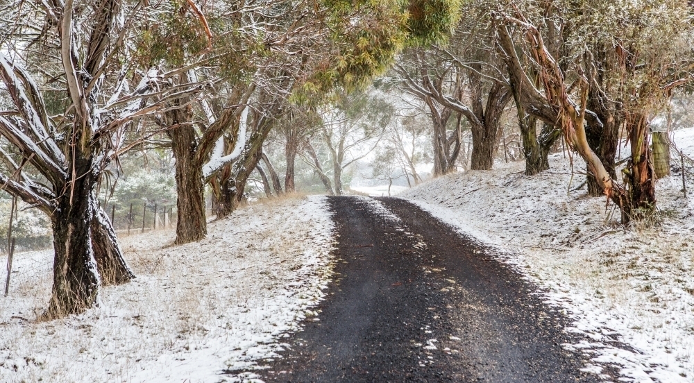 Road through snow covered trees and rural fields.  Australia - Australian Stock Image