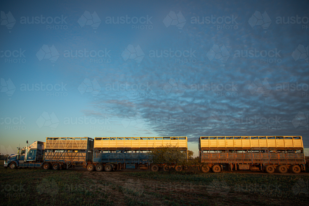 Road train side on in morning light under big sky - Australian Stock Image