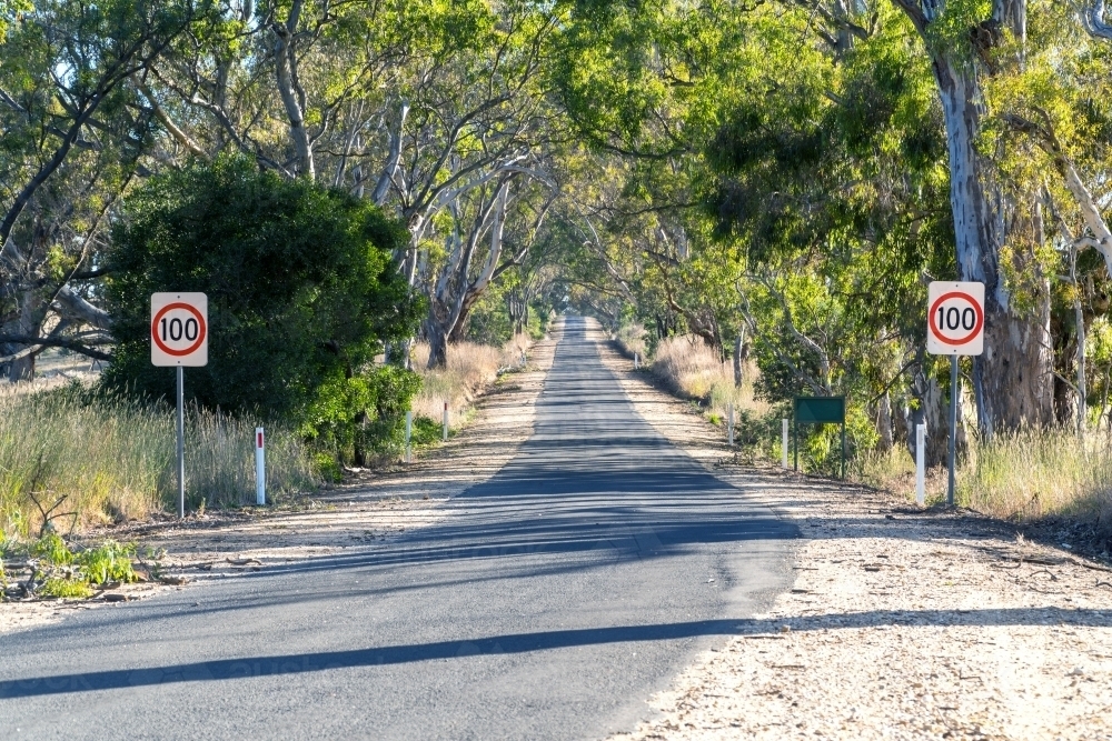 Road trip concept. Summer country road with trees on side, in Victoria, Australia. - Australian Stock Image