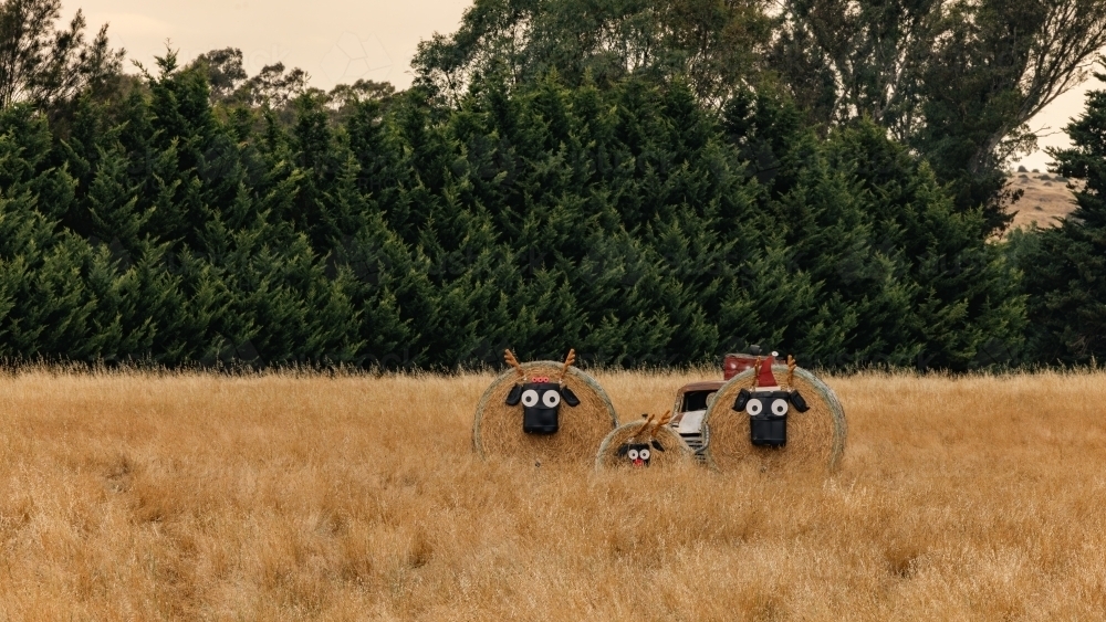 Roadside Christmas decorations made of hay bales in country Victoria - Australian Stock Image