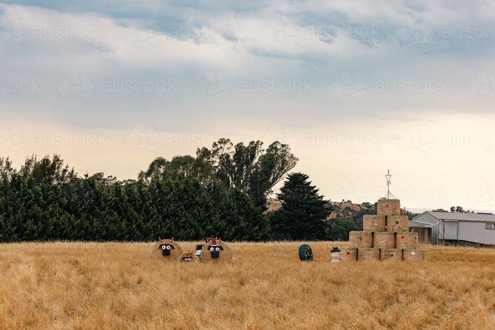 Roadside Christmas decorations made of hay bales in country Victoria - Australian Stock Image