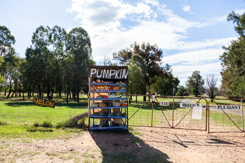 Roadside pumpkin stand and honesty box at farm entrance - Australian Stock Image