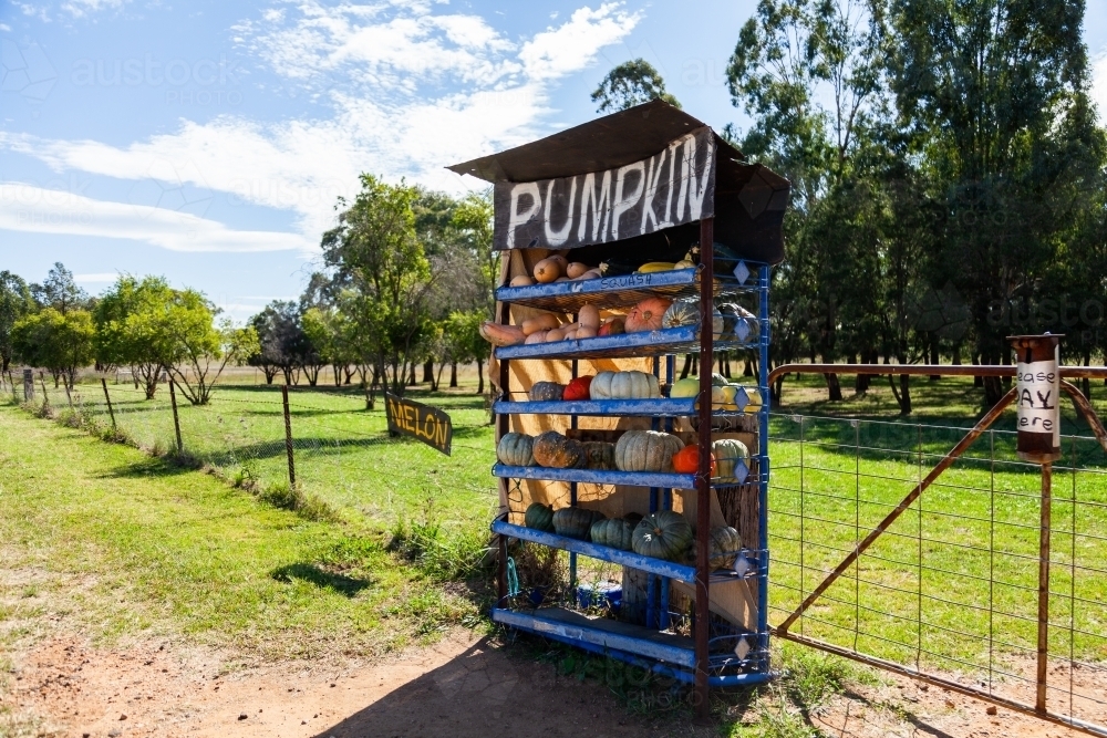 Roadside pumpkin stand and honesty box at farm entrance - Australian Stock Image