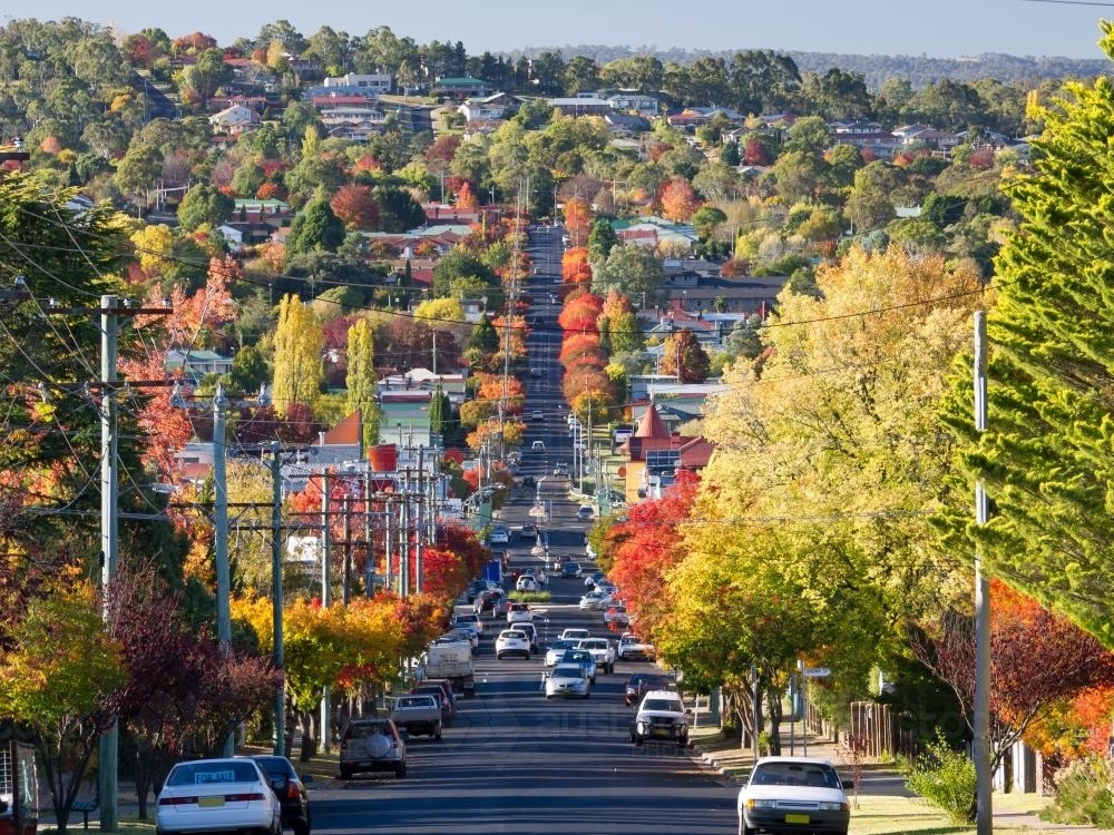 Roadway through country town lined with autumn trees - Australian Stock Image