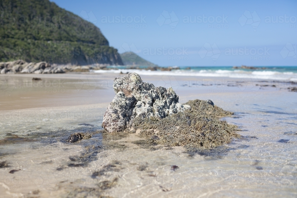 Rock formation in water at the beach - Australian Stock Image