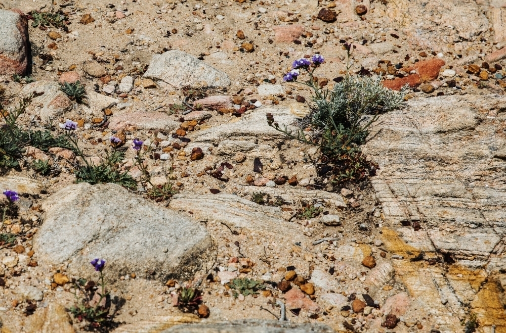 Rock Formations - Australian Stock Image