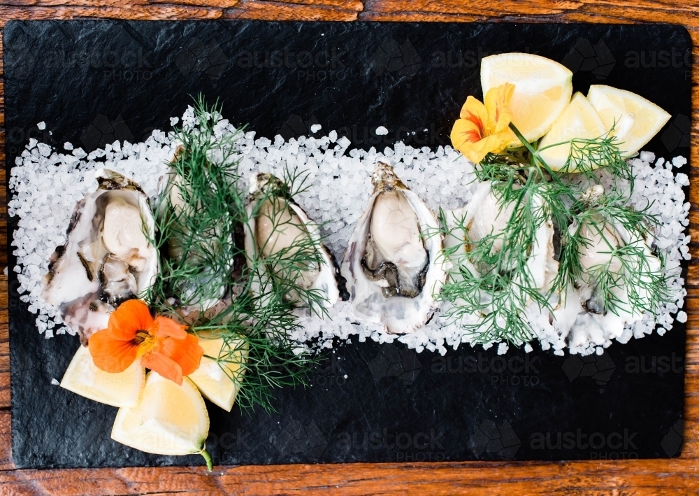 Rock oysters displayed on bed of salt - Australian Stock Image