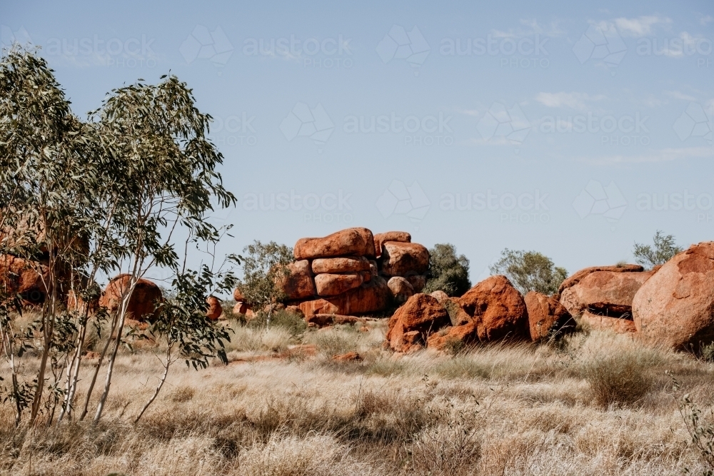 Rocky landscape with gum trees. - Australian Stock Image
