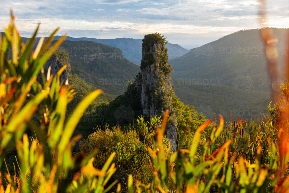 Rocky outcrop called the Steamers in Main Range - Australian Stock Image