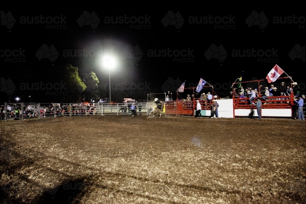 Rodeo riding in ring at local showground at night - Australian Stock Image