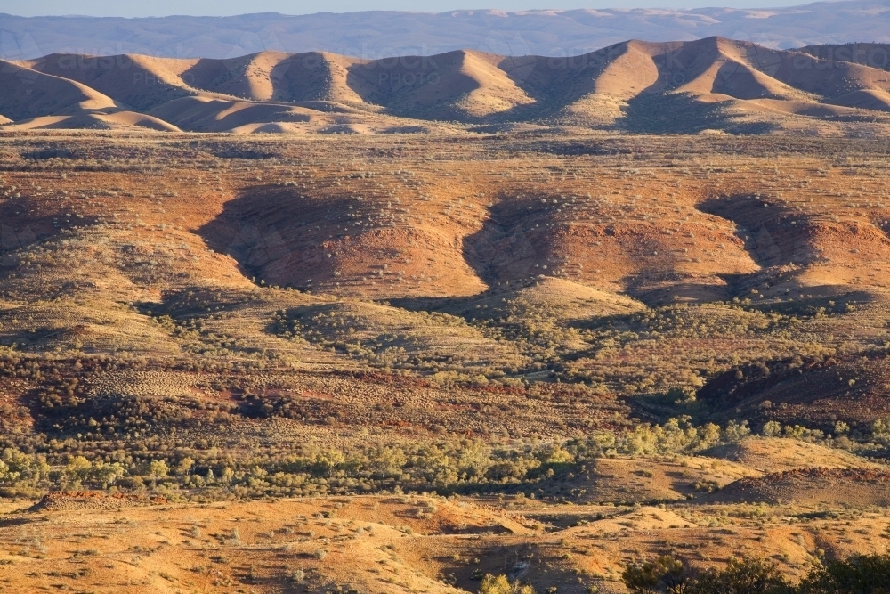 Rolling desert hills in sunset light, West MacDonnell Ranges - Australian Stock Image