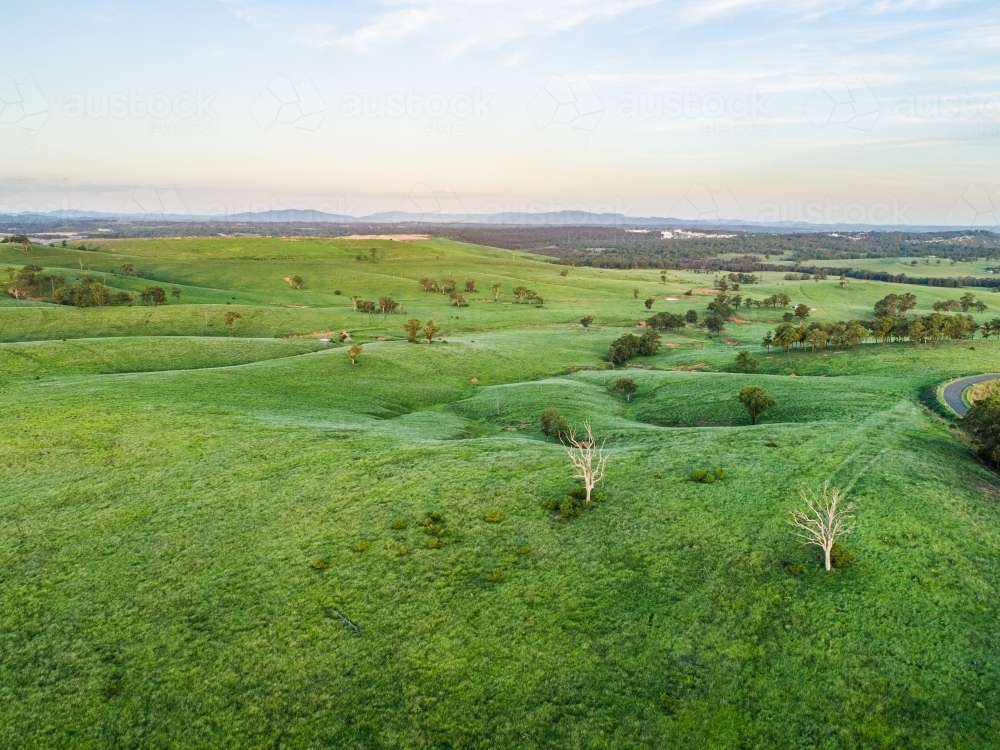 Rolling hills and green farm paddocks at dusk growing after rain - Australian Stock Image