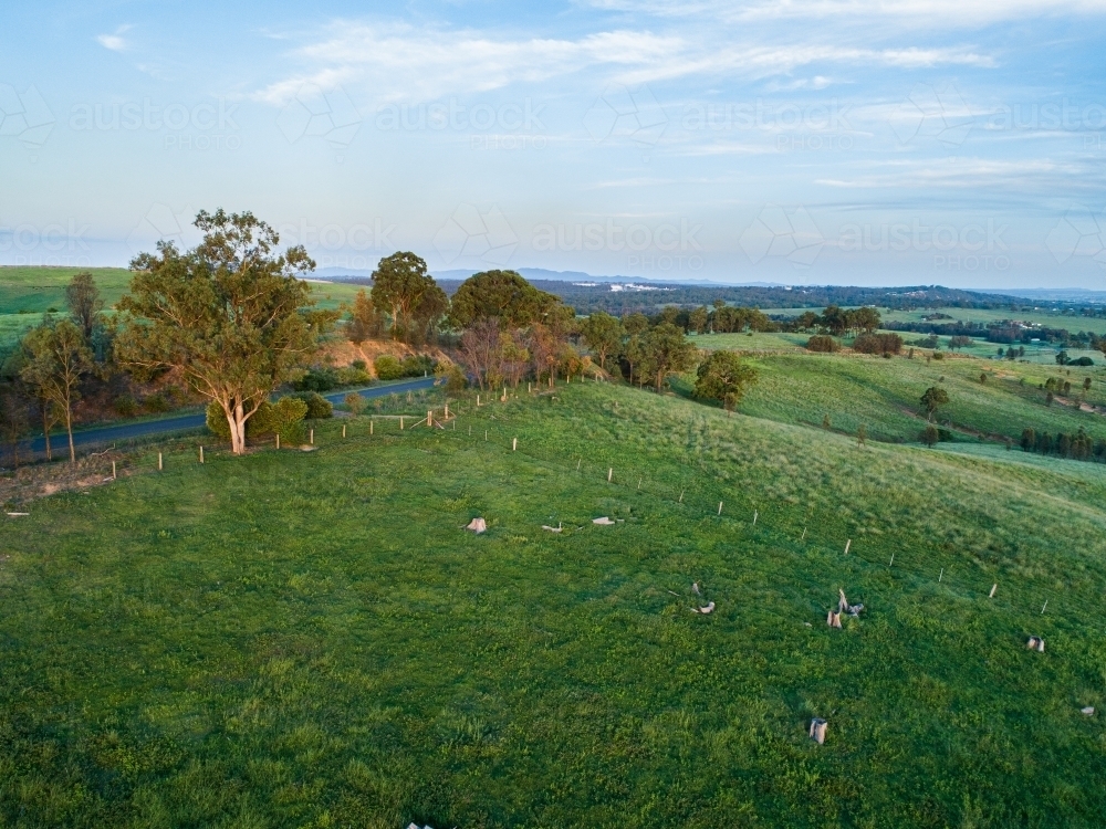 Rolling hills and green farm paddocks at dusk growing after rain - Australian Stock Image