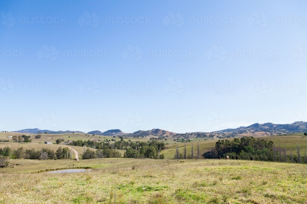 Rolling hills of farmland with big blue sky copy space - Australian Stock Image