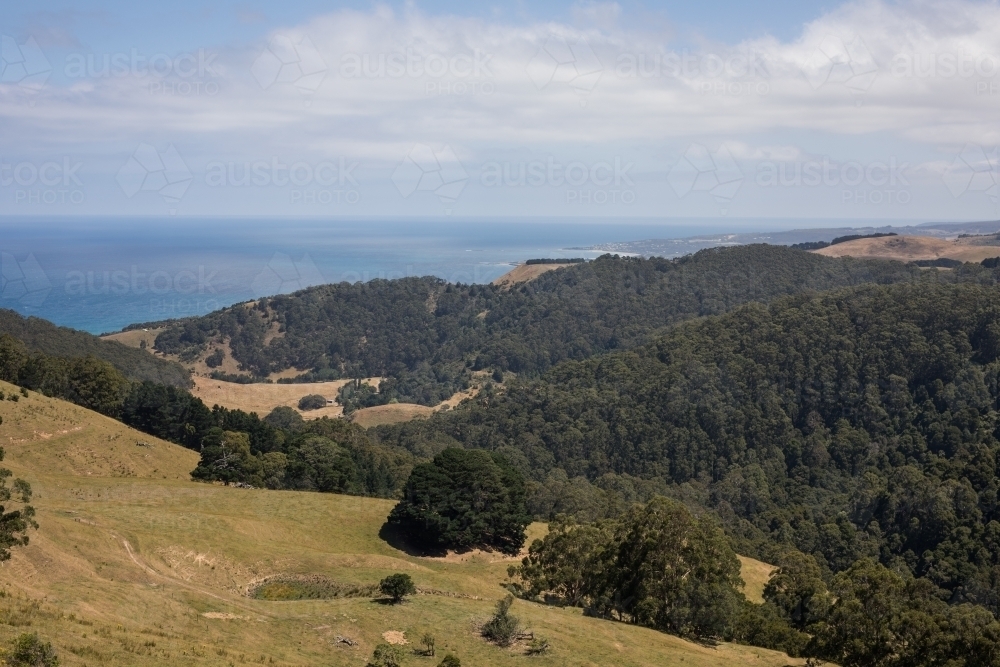 Rolling hills with ocean in the background - Australian Stock Image