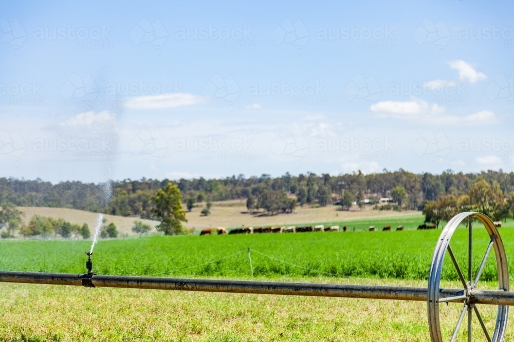 Rolling water sprinkler on farm - Australian Stock Image