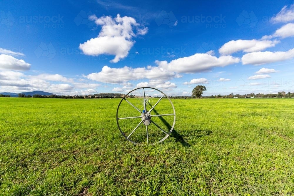 Rolling water sprinkler on lucerne farm - Australian Stock Image