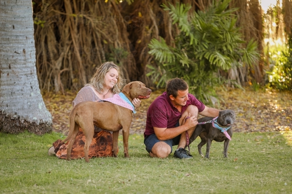 Image of Romantic couple sitting on grass with two dogs in park ...