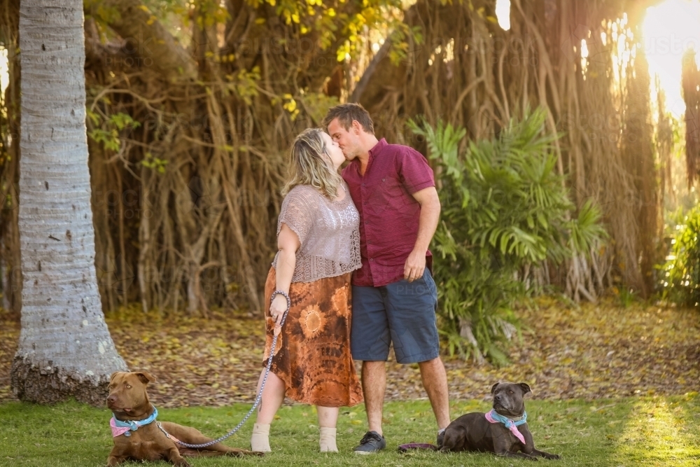 Image of Romantic couple standing together in park with two dogs on ...