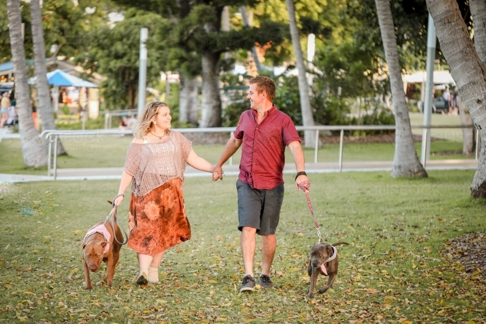 Romantic couple walking dogs in the park in golden afternoon light - Australian Stock Image